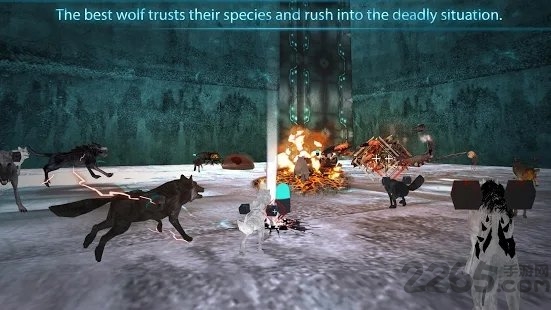 x wolf最新版下载