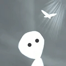 神圣之光官方版