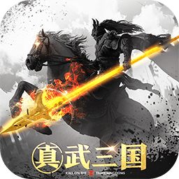 真武三国果盘版