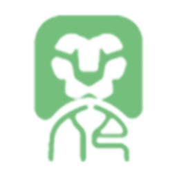 中环柯昂app