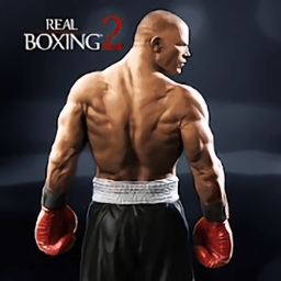 realboxing2游戏